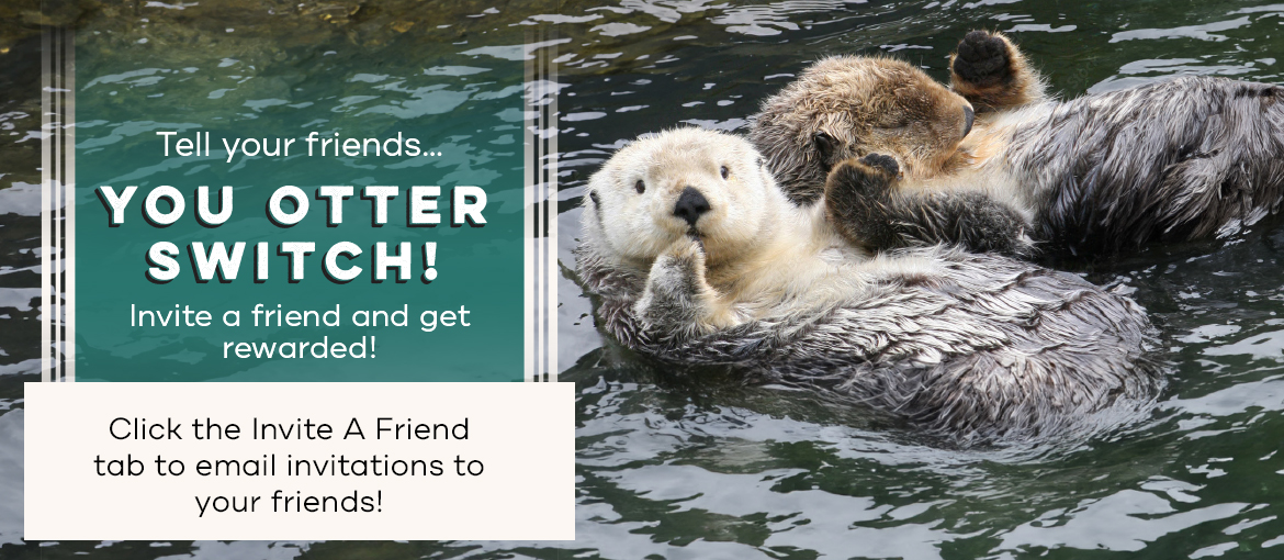 ICS Campaign ICS Campaign